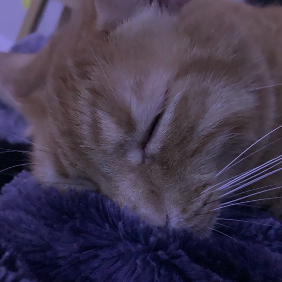 Meet your Posher, Ray - Picture 1 of 1